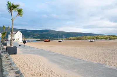 a beach with a palm tree and a person walking a dog at 2 Bed in Barmouth oc-wag721 in Barmouth