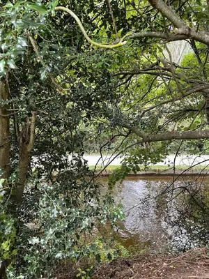 a body of water with a tree and a river at Berwyn Lodge with private hot tub in Llangollen