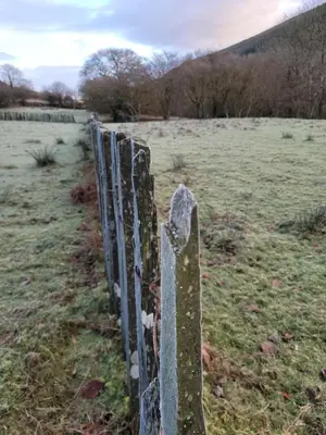 a fence in the middle of a field at Ty Golchi - Cosy traditional cottage in Corris in Corris
