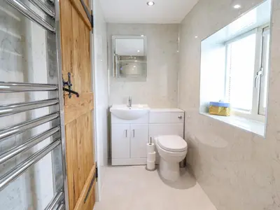 a bathroom with a toilet and a sink and a window at Tan Y Ddol in Welshpool