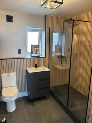 a bathroom with a toilet and a shower and a sink at The New 2 Plas Morolwg in Aberystwyth