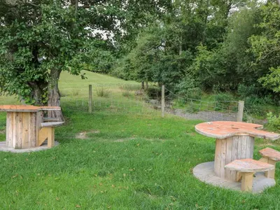 two wooden benches sitting in the grass near a tree at The Salmon in Rhayader