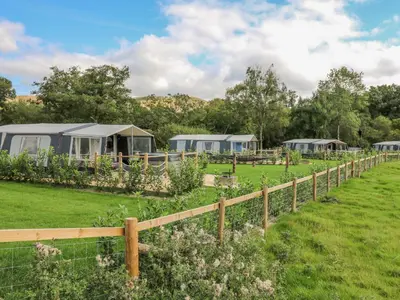 a row of mobile homes in a garden at The Salmon in Rhayader