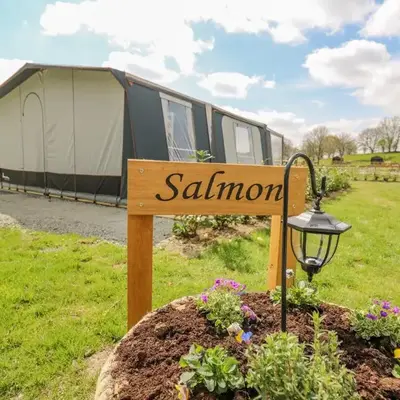 The Salmon