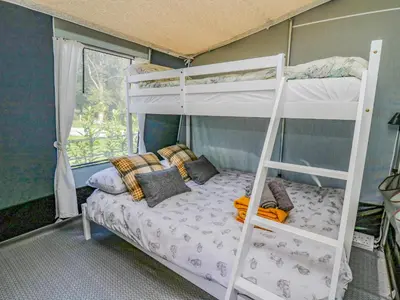 a bedroom with a bunk bed and a ladder at The Heron in Rhayader
