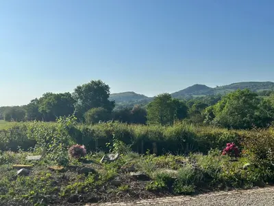 a field of flowers with mountains in the background at Owlbury Hall Barn in Montgomery