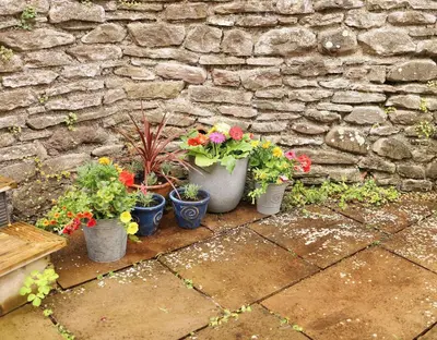 a group of potted plants in front of a stone wall at Pet-Friendly Logburner Horse Stable Views in Hay-on-Wye