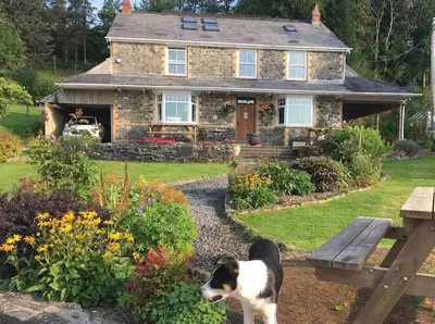 a dog standing in front of a house at Ravens Rest in Llanwrda