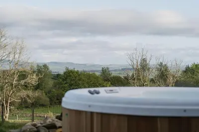 a tub sitting on top of a field with trees at Dyffryn Ceri in Penuwch