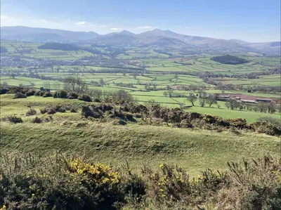 a view of a green field with mountains in the background at Cosy Arts & Crafts Cottage with stunning views in Brecon