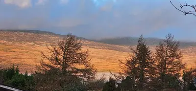 a view of a field with trees and a mountain at Log cabin - free parking garden & pet friendly in Trawsfynydd