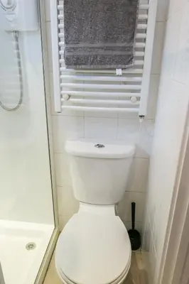 a bathroom with a toilet and a shower and a towel at Riverside Chalet in heart of Lampeter, West Wales in Lampeter