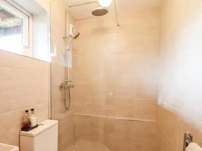 a bathroom with a shower and a toilet at Westoe Hideaway in Llangollen