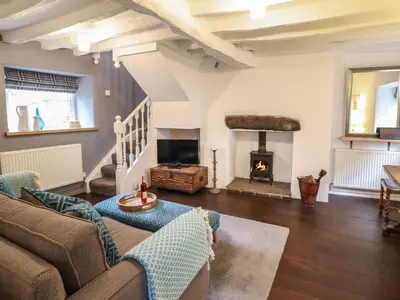 a living room with a couch and a fireplace at 3 Ivy Court in Dolgellau