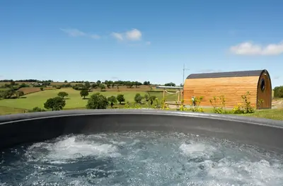 a hot tub in a yard with a wooden building at Bedwen in Welshpool