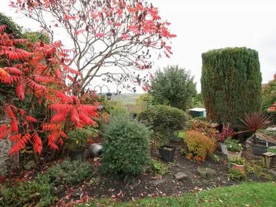 a garden with a red tree and other plants at Laurgeths House in Bishops Castle