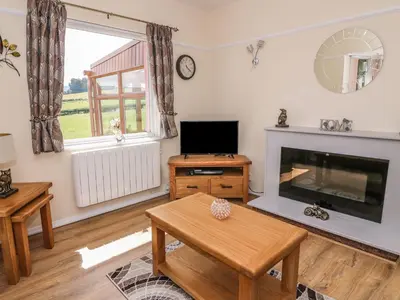 a living room with a fireplace and a tv at Tegfan Bungalow in Pant-y-dwr