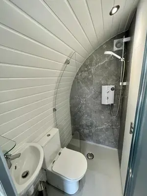 a bathroom with a toilet and a sink and a shower at Yr Onnen in Oswestry