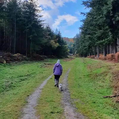 a person walking a dog down a dirt road at Delightful Country Cottage in a lovely rural area in Ludlow