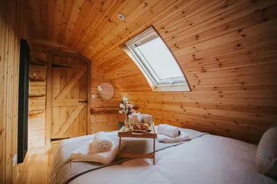 a bedroom with a bed in a wooden room at Buttercup in Rhayader