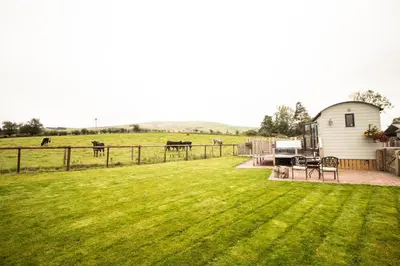 a yard with a barn and cows in a field at Tulip in Rhayader