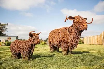 two statues of cows standing in a field at Daisy in Rhayader