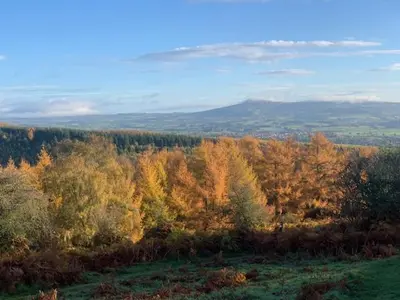 a view of a field with trees in the background at Ground floor well appointed cosy flat in Ludlow in Ludlow
