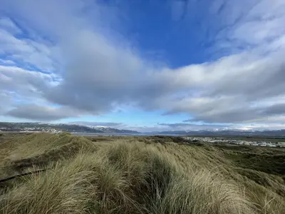 a field of tall grass under a cloudy sky at Taylor Way - Superb Apartment with Living Room and Private Gated Parking in Aberystwyth