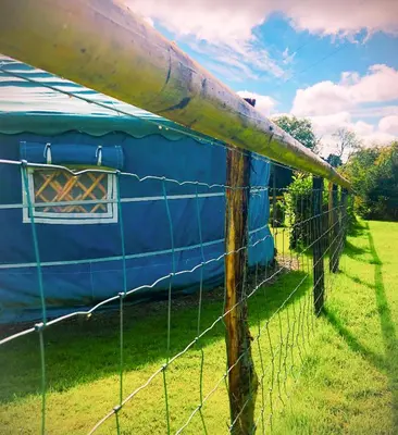 a blue iguanauanauanauanauanauanauanauanauanauanauanauana at 'Villager' the Yurt at Pentref Luxury Camping in Penuwch
