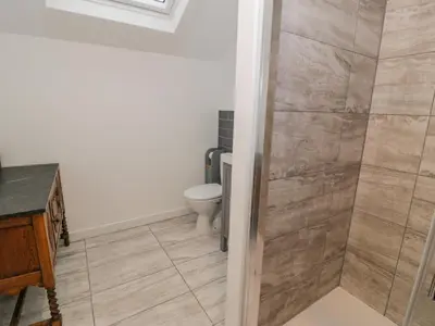 a bathroom with a toilet and a shower stall at Bronwen House in Llanbedr