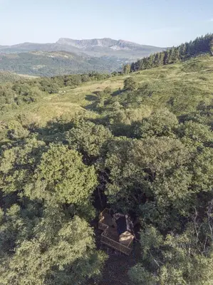 an overhead view of a forest with mountains in the background at Chestnut Tree House with Hot tub & Sauna in Barmouth