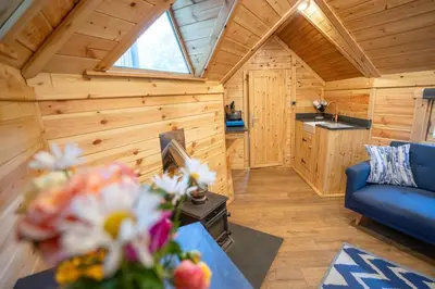 a living room with a blue couch in a log cabin at Pine Tree House with Hot tub & Sauna in Barmouth