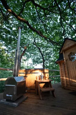 a wooden deck with a bird house and a tv at Pine Tree House with Hot tub & Sauna in Barmouth