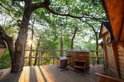 a deck with a tree and a tub and a tv at Pine Tree House with Hot tub & Sauna in Barmouth