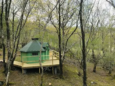 a green house with a green roof in the woods at Tree Top Cabin with Private Hot Tub in Barmouth