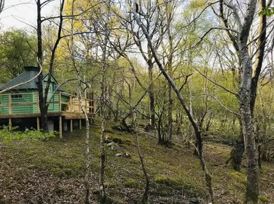 a cabin in the middle of a forest with trees at Tree Top Cabin with Private Hot Tub in Barmouth