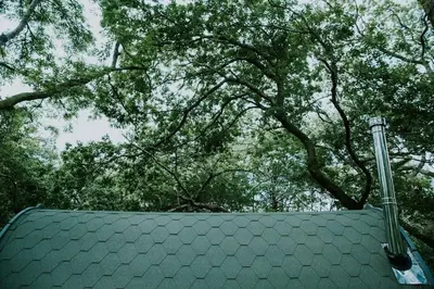 a roof of a house with trees in the background at Willow Cabin & Hot Tub in Barmouth
