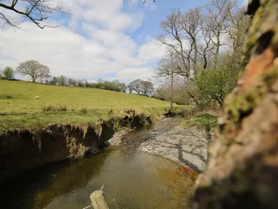 a view of a river from a bridge at Heron in Nantmel