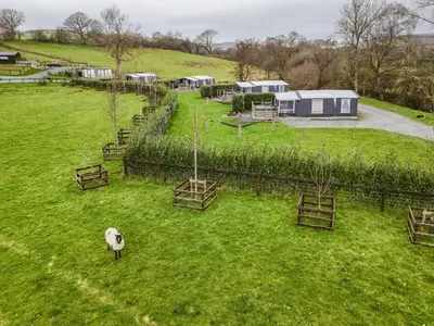 an aerial view of a sheep in a field at King Fisher in Nantmel