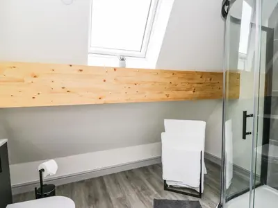 a bathroom with a shower and a toilet and a window at Kerry Hill - The Sheepfold in Llandrindod Wells