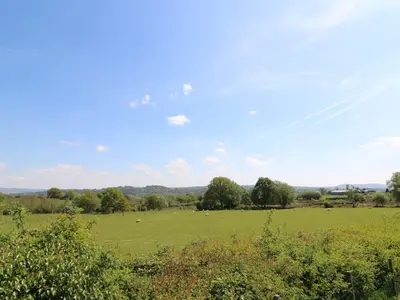 a field with sheep grazing in a grassy field at Kerry Hill - The Sheepfold in Llandrindod Wells