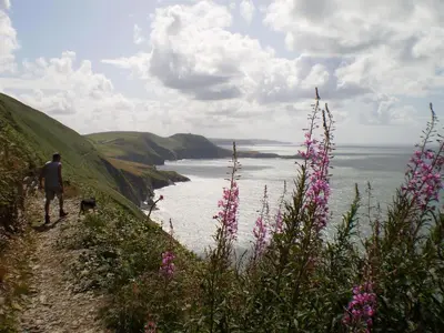 a man walking down a hill next to the ocean at Arwel in New Quay