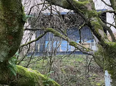 a building behind a tree with green moss at Luxury Lodge In The Treetops in Llanbrynmair