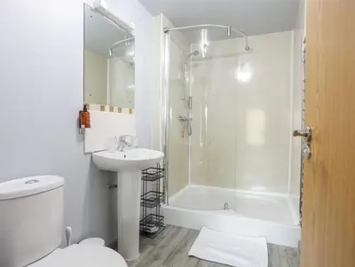 a bathroom with a shower and a toilet and a sink at Vyrnwy Lakeside - Bala Lake in Bala