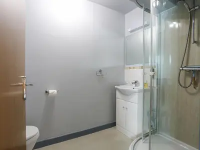 a bathroom with a shower and a toilet and a sink at Drysgol Lakeside - Bala Lake in Bala
