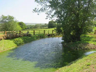 a pond in the middle of a field with a fence at The Grain Loft in Clun