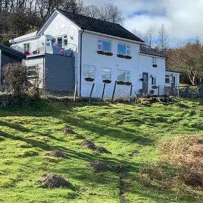 Broombush B & B & Yr Nyth Shepherds Hut