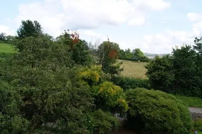 a group of trees and bushes in a field at Top Floor at Cantref House in Brecon