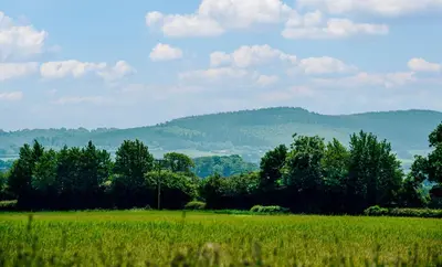 a green field with trees and mountains in the background at The Coach House Barn in Shrewsbury