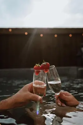 a person holding a glass of wine and a strawberry in the water at The Ginger Nut in Welshpool